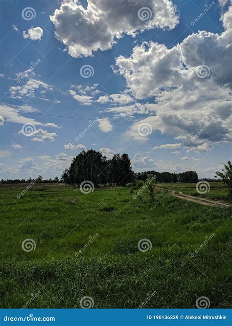 green meadow  blue sky  clouds kamen na obi altai russia vertical stock image
