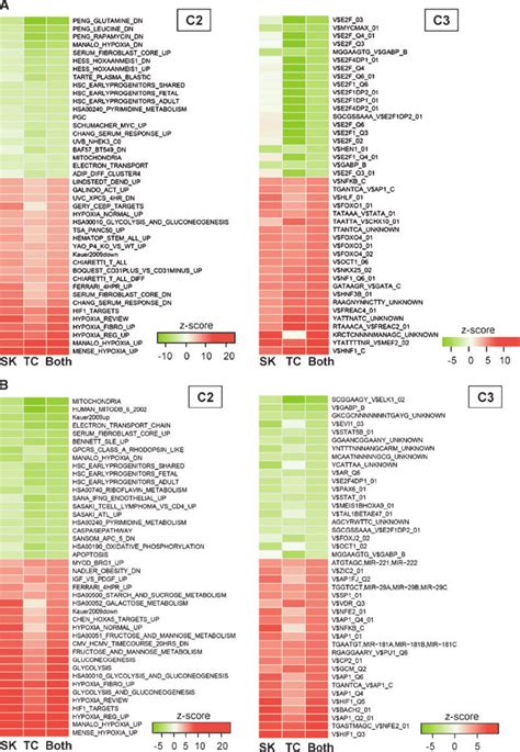 Result From The GSEA Analysis With The MSigDB Gene Sets C2 Left And