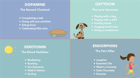 Serotonin And Dopamine Happiness