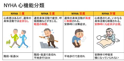 【心不全の重症度分類】臨床で用いられる4つの分類について解説 ぴんころ