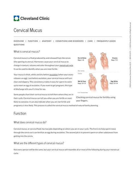 SOLUTION: Cervical mucus chart stages tracking fertility - Studypool