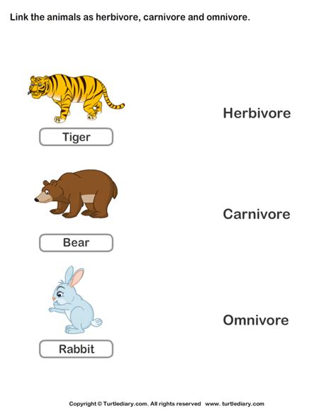 Herbivores Carnivores And Omnivores Worksheets