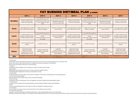 Fat Burning Meal Plan by SAMEER | PDF | Dieting | Foods