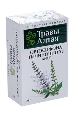 Травы Алтая Ортосифона тычиночного (Почечного чая) лист, фиточай, 50 г ...