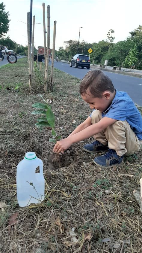 Afianzando Mis Aprendizajes Proyecto Ecologico Escuela Normal