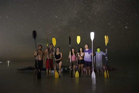 Holbox Stjerner Og Bioluminescerende Havliv P Kajaktur Getyourguide