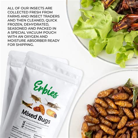 Erbies Edible Bugs Mixed Trail Mix 15g Bag - Seasoned Crunchy Insects