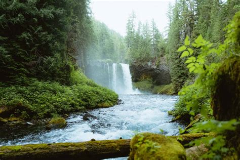 150+ of the best Oregon waterfalls you need to add to your bucket list ...