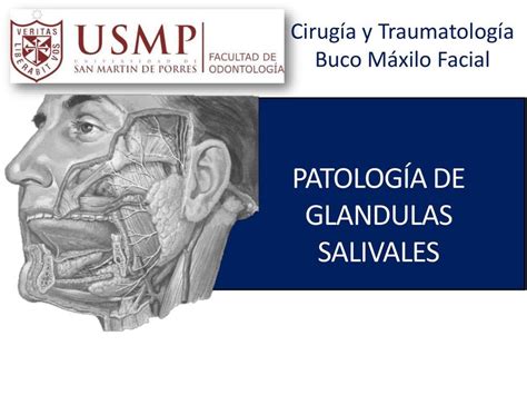 PATOLOGIA DE GLANDULAS SALIVALES Douglass Dr Douglassjaime UDocz