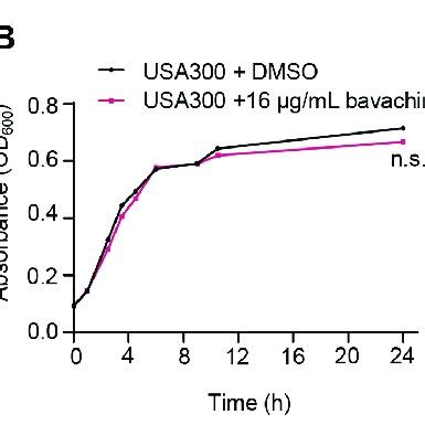 Effect Of Bavachin On S Aureus And Cells A Chemical Structure Of