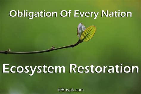 20 Environmental And Ecosystem Restoration Slogans Pictures