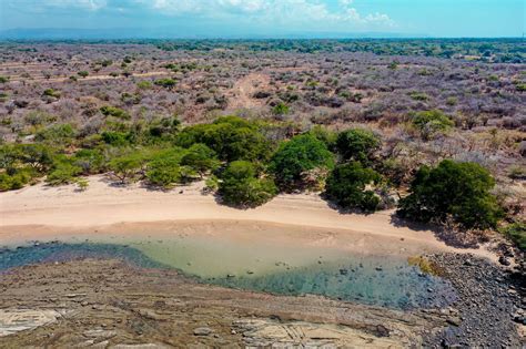 Buscan Proteger La Playa Los Almendros Y Fortalecer El Desarrollo De