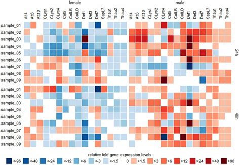 Analysis Of The P Bifurcatus Induced Sex Specific Gene Expression