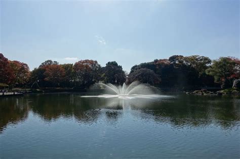 栃木県中央公園へのアクセス方法と駐車場は？開園時間は？ 歩いてみたブログ