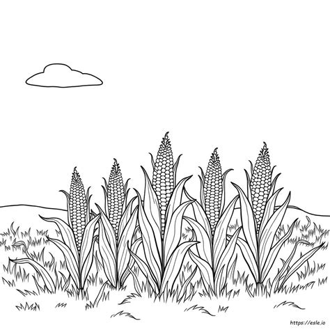Indian Corn Coloring Sheet