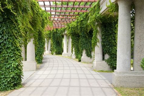 85 Walkway Ideas and Designs for 2018 (Pictures)