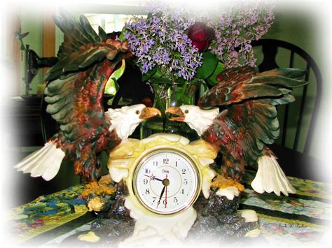 Bald Eagles - New England