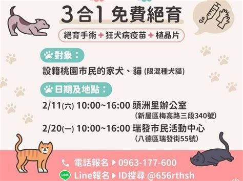 桃園混種犬貓三合一免費絕育 2月兩場受理報名中 Ettoday地方新聞 Ettoday新聞雲