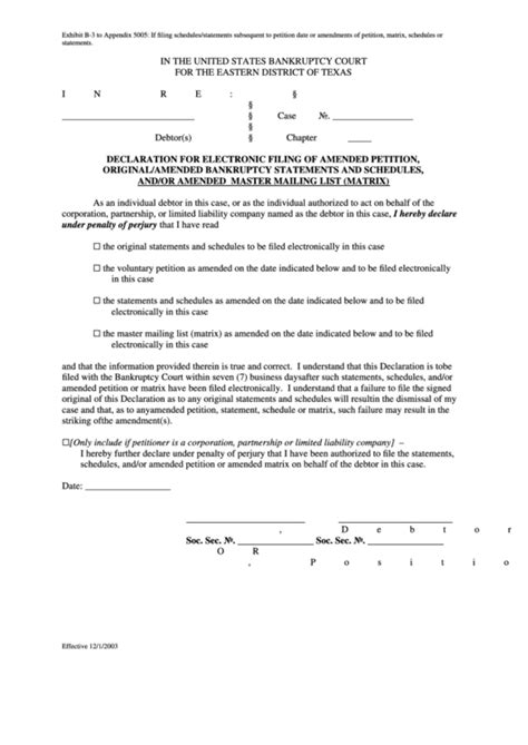 Fillable Declaration For Electronic Filing Of Amended Petition