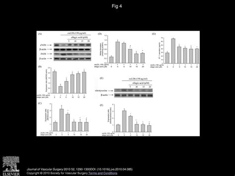 Ellagic Acid Inhibits Oxidized Ldl Mediated Lox Expression Ros