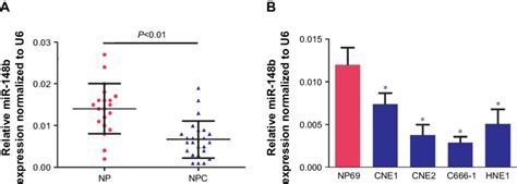 Downregulation Of Mir 148b In Npc Tissues And Cell Lines Notes A