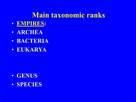 Ppt Biodiversity I Biol Taxonomy Powerpoint Presentation Free