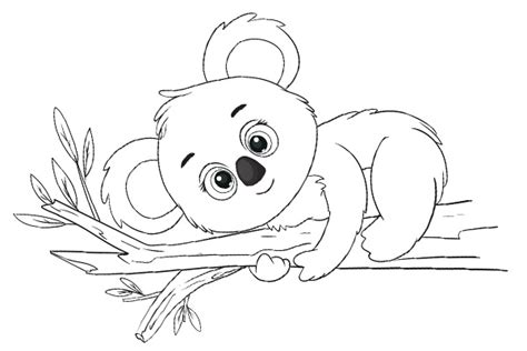 Coloriage koala à imprimer PDF Dessin de koala à colorier gratuit