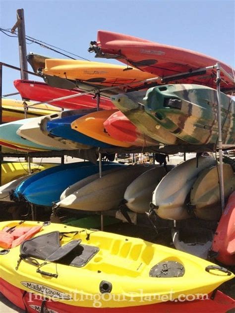 Tips for Kayaking for Beginners - DIY Inspired