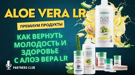 Как вернуть молодость и здоровье с Алоэ Вера LR: 10 фактов, которые ...