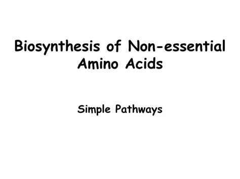 PPT - Amino Acid Biosynthesis PowerPoint Presentation, free download ...