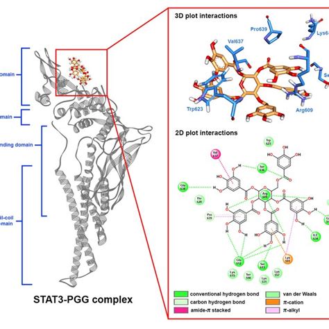 Pentagalloyl Glucose And Cisplatin Combination Treatment Exhibits A