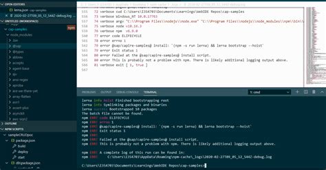 Build Error Npm Err Sap Capire Samples Install Npm S Run Lerna