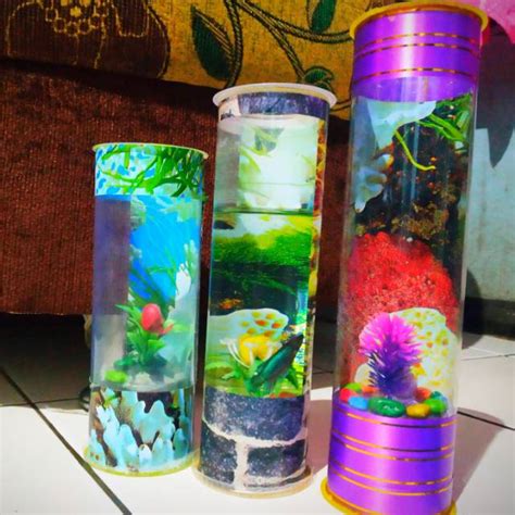 Jual Aquarium Mini Tabung Real Pick Shopee Indonesia