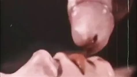 Country Cuzzins HD Free Free Perfectgirls HD Porn XHamster