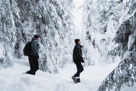 The Best Places For Snowshoe Fondue Tours Near Vancouver Vancouver S