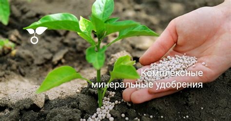 Комплексные минеральные удобрения. Названия, описания, состав — Ботаничка