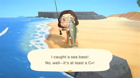 Animal Crossing New Horizons Sea Bass Joke Writer Explains Himself