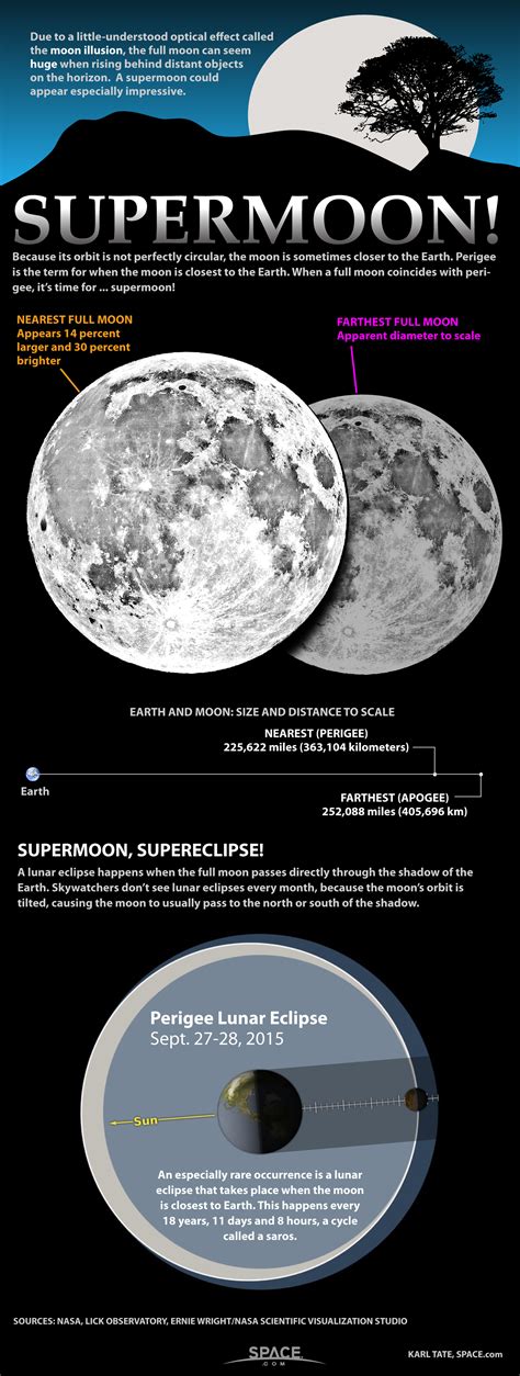 10 Things You Didn't Know About the Moon | Space