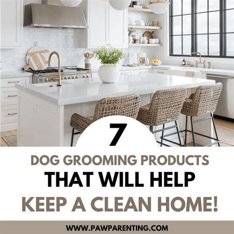 7 Best Dog Grooming Products to Help Keep Your House Clean! - Paw Parenting