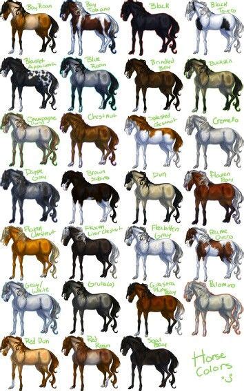 29 Horse Breed Chart ideas | horse breeds, horse coloring, horses