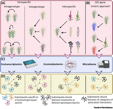 The Ecologically Relevant Genetics Of Plant Plant Interactions Trends