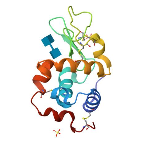 RCSB PDB 1LJN Crystal Structure Of Turkey Egg Lysozyme Complex With