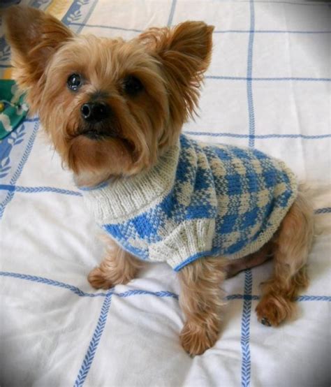 Knitted Dog Sweaters to Keep Your Pooch Warm