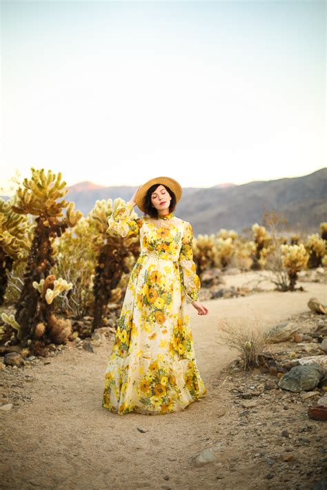 Joshua Tree Cholla Cactus Garden | Keiko Lynn