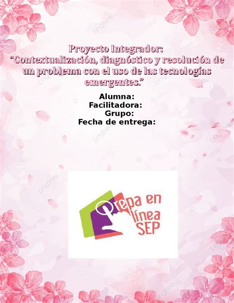 Proyecto Integrador Modulo 9 8