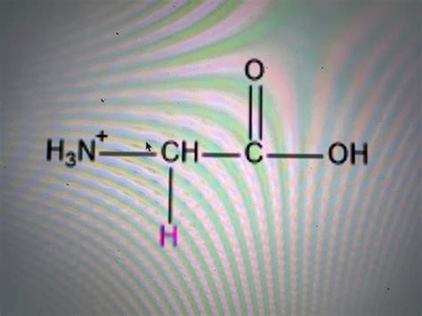 Biochem Amino Acid Flashcards Quizlet