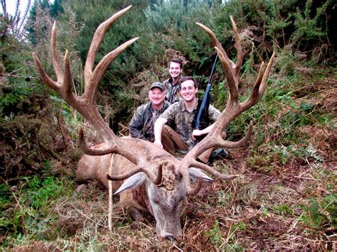 Red Stag New Zealand Safaris