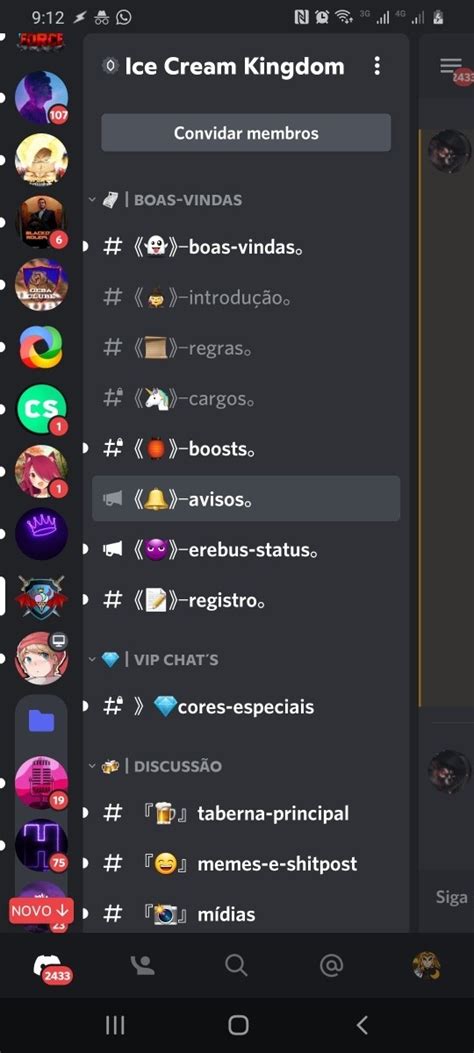 Servidores De Discord Profissional E Bots Configurados H Mercado Livre