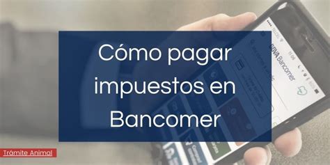 C Mo Volver A Imprimir Un Comprobante De Pago De Bancomer