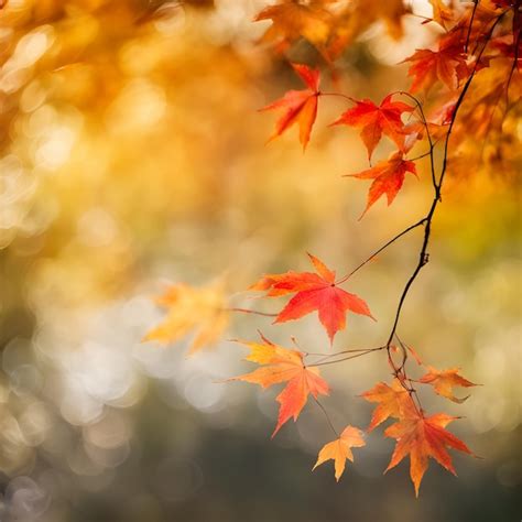 Premium AI Image | Abstract fall background with maple leaf seasonal ...